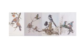 Edwin Penny (British 20th Century), Four limited editions coloured lithographs featuring turtle