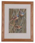 Frederick T. Searle (British, 20th Century), Marsh tits balancing on reed stems, watercolour,