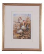 Neil Cox (British, Contemporary), A charm of Goldfinches, watercolour, signed. Framed and glazed.
