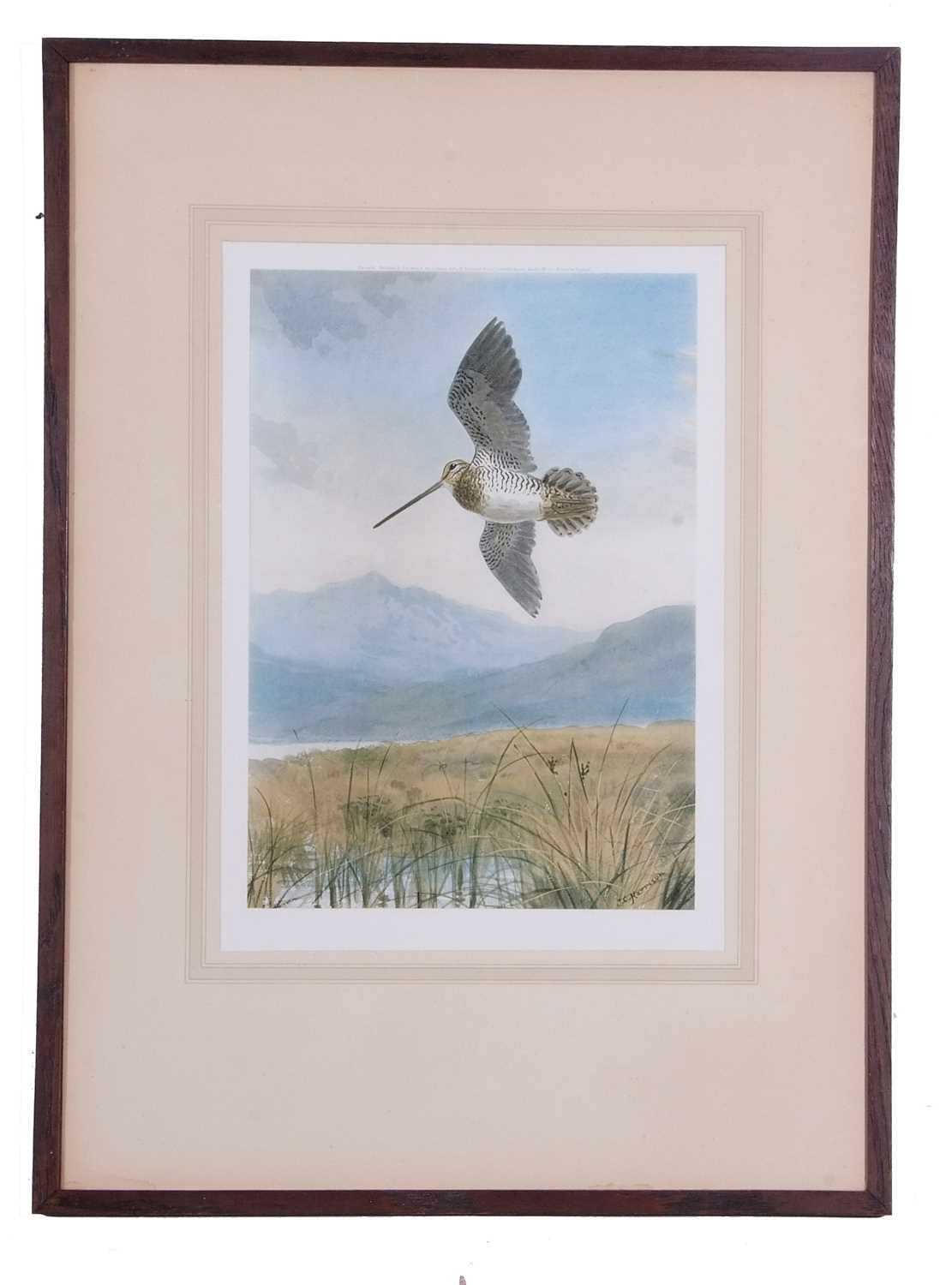 After John Cyril Harrison, A pair of prints featuring a woodcock and snipe breaking cover, framed - Image 4 of 5