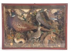20th century cased taxidermy diorama including various British birds and mammals to include: