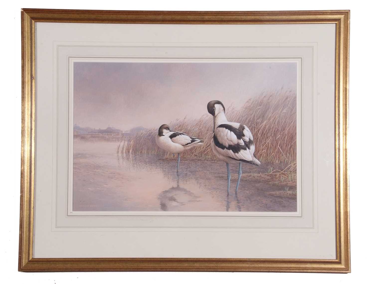 Raymond C. Watson (British, 1935-1994), Avocets, watercolour, signed. 14x21