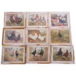A quantity of 30 framed poultry breed standard coloured prints /plates from books by Ludlow
