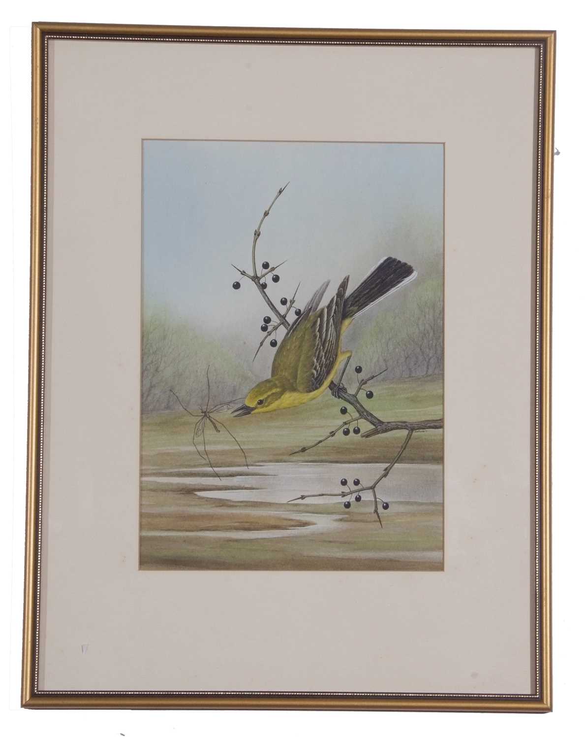 David Smithurst (British, 1942-2001), Three watercolour studies; spotted woodpecker, redstart and - Image 3 of 6