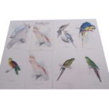 After Edward Lear (British, 1812-1888), "The Parrots", 42 fine art prints, presented in a custom