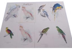 After Edward Lear (British, 1812-1888), "The Parrots", 42 fine art prints, presented in a custom
