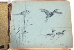 Guest book for the Hickling hotel – on Hickling broad, drawings of great crested grebe by Rowland