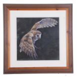 British School, Barn owl at night, presented in a contemporary wooden frame, 17x16ins