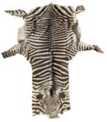Early to mid 20th century Zebra (Equus zebra) skin rug with outstretched limbs and flat head. A/