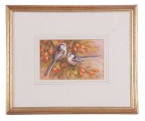 Neil Cox (British Contemporary) Pair of long-tailed tits, watercolour, signed.Qty: 1