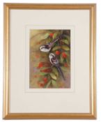 Neil Cox (British Contemporary), Two long tails perched on branches, watercolour, signed.Qty: 1