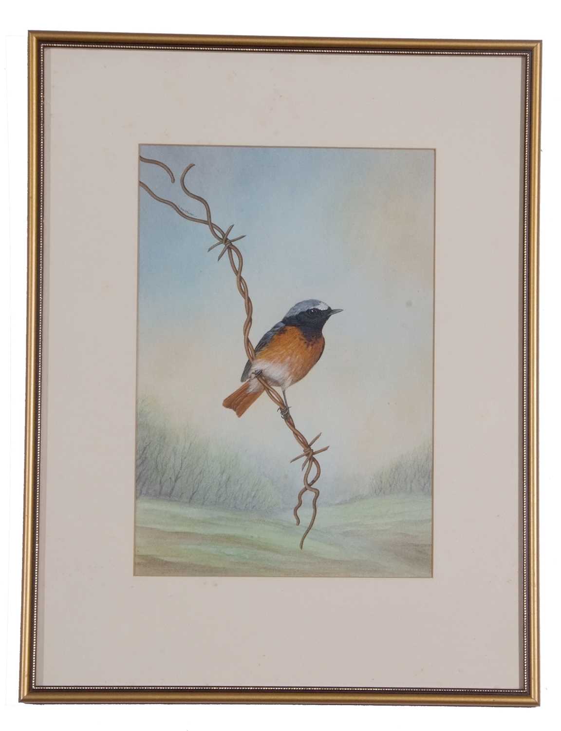 David Smithurst (British, 1942-2001), Three watercolour studies; spotted woodpecker, redstart and - Image 5 of 6