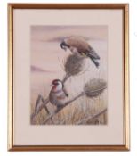 Mark Chester (British, Contemporary), Sunset Goldfinches, acrylic, signed.Qty: 1