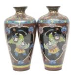 Pair of Cloisonne Vases