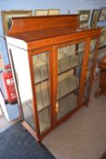 Edwardian mahogany and inlaid display cabinet with lead glazed detail and single door, 115cm wide