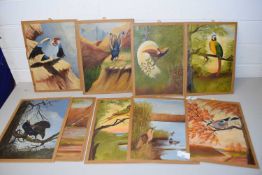 COLLECTION OF VARIOUS OIL ON BOARD STUDIES, BIRD SPECIES, MARKED TO THE REVERSE "FAR FAR"