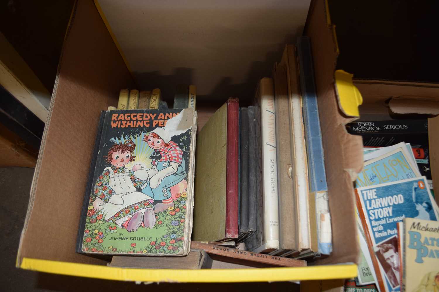 ONE BOX OF BOOKS - VINTAGE CHILDRENS INTEREST