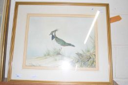 ANDREW OSBORNE WATERCOLOUR OF A LAPWING, FRAMED AND GLAZED