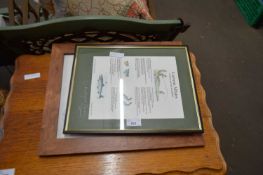 CHRISTOPHER CURTIS CURRENT AFFAIRS FRAMED PRINT PLUS A FURTHER AERIAL PHOTOGRAPH