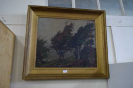 20TH CENTURY SCHOOL STUDY OF WINDSWEPT TREES, OIL ON BOARD, INDISTINCTLY SIGNED, GILT FRAMED