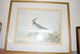 ANDREW OSBORNE WATERCOLOUR OF A LAPWING, FRAMED AND GLAZED