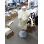 FEMALE HALF MANNEQUIN