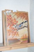 GROUP OF VARIOUS OIL STUDIES, ASSORTED BIRDS, FRAMED BUT WITH PAPER MOUNTS