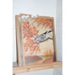 GROUP OF VARIOUS OIL STUDIES, ASSORTED BIRDS, FRAMED BUT WITH PAPER MOUNTS