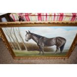 P SANDERS STUDY OF A RACEHORSE 'OAT HALL', OIL ON CANVAS, GILT FRAMED, NOT GLAZED