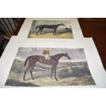 TWO COLOURED ENGRAVINGS OF RACEHORSES, KING CRAFT AND IROQUOIS, UNFRAMED (2)