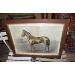 ANTIQUE COLOURED PRINT NEWMARKET RACEHORSE