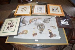 COLLECTION OF VARIOUS COLOURED PRINTS, WILDLIFE, INSECTS, SEA SHELLS ETC (6)