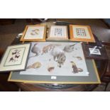 COLLECTION OF VARIOUS COLOURED PRINTS, WILDLIFE, INSECTS, SEA SHELLS ETC (6)