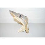 TAXIDERMY SHARKS HEAD