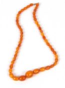 Modern amber bead necklace, a single row of graduated beads to a brass clasp, 24cm fastened