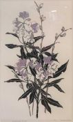 Bridget Mchale (British, 20th century) 'Rhododendron Willow', limited edition screenprint,