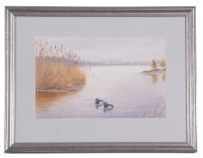 Philip Charles Rickman (British 1891-1982), Tufted Ducks, watercolour, signed. 7x11insQty: 1