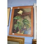 Two framed Oil paintings by Vera Spencer 'Peace Lilly and Thistle' (2)