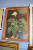 Two framed Oil paintings by Vera Spencer 'Peace Lilly and Thistle' (2)