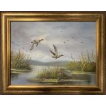 British School, 20th century, Mallards in flight, signed D.Teague to lower right, 11.5x15ins