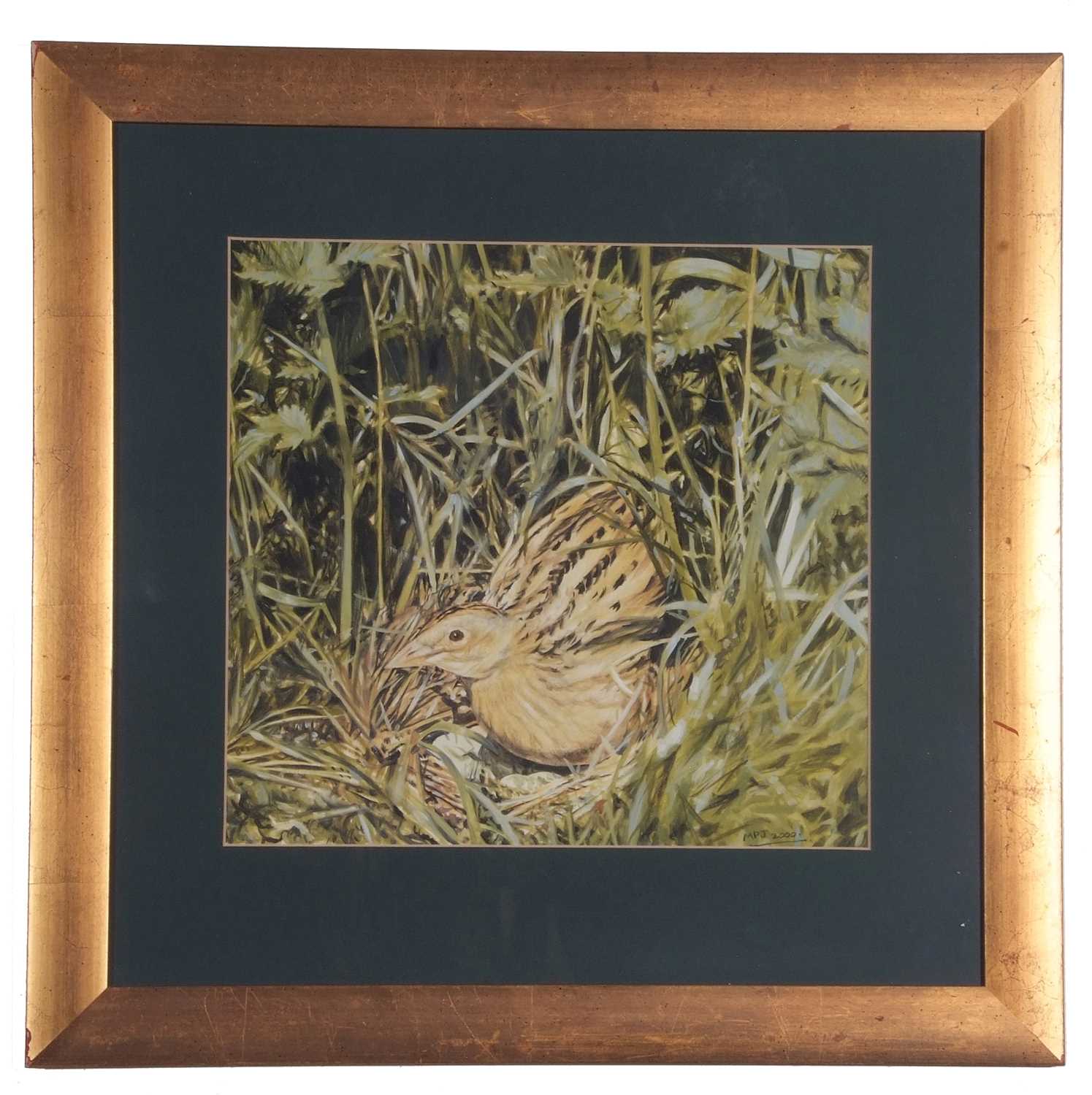 Michael P. Jevon (British, Contemporary), Corncrake nesting, gouache on card, signed.13x13ins,