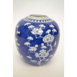 Large 19th Century Chinese porcelain jar, the blue ground decorated with prunus, 23cm high