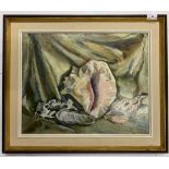 British, contemporary, still life study of seashells, oil on board,15x19ins, framed.