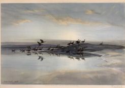 Peter Scott (British, 20th century) geese, chromolithograph, signed in pencil to lower right margin,