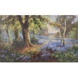 Daniel Sherrin (British, 20th century), A woodland carpetered in bluebells, oil on canvas, signed,