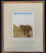 Ailsa Kennedy (British, 20th century) 'Wild Cat', coloured etching, artist's proof, signed, mounted,