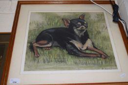 FREEMAN STUDY OF A CHIHUAHUA, PASTEL, FRAMED AND GLAZED