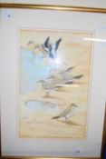 WATERCOLOUR OF BIRDS SIGNED BY JARVIS