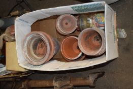 Box of various assorted terracotta plants