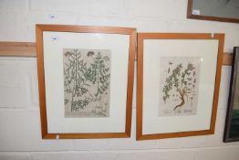 Pair of framed botanical prints